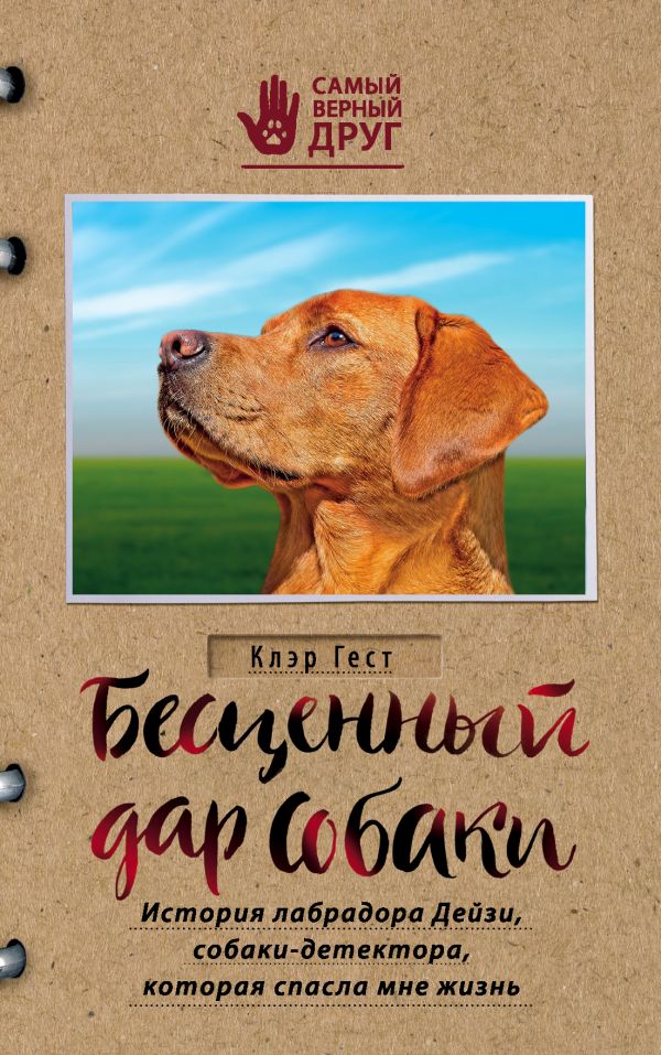 Бесценный дар собаки. История лабрадора Дейзи, собаки-детектора, которая спасла мне жизнь (fb2)