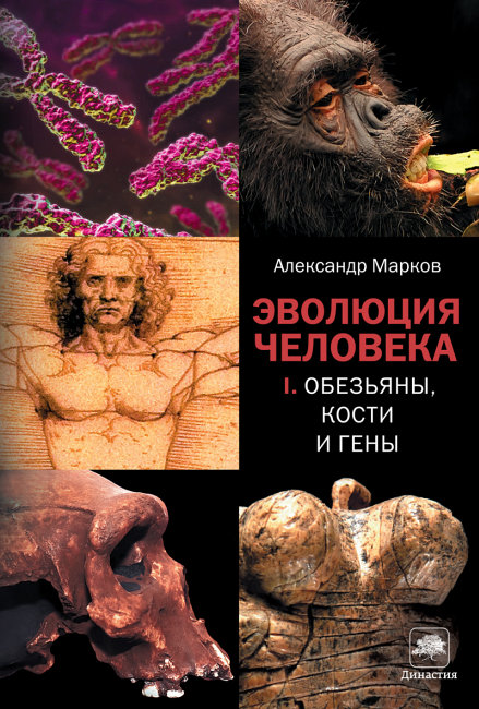 Эволюция человека. Книга 1 (fb2)