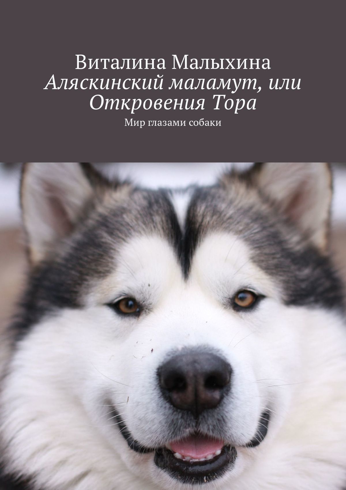 Аляскинский маламут, или Откровения Тора [Мир глазами собаки] (fb2)