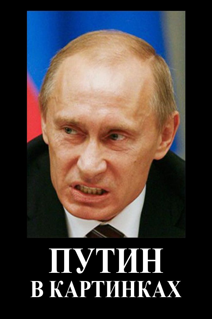 Путин в картинках (fb2)