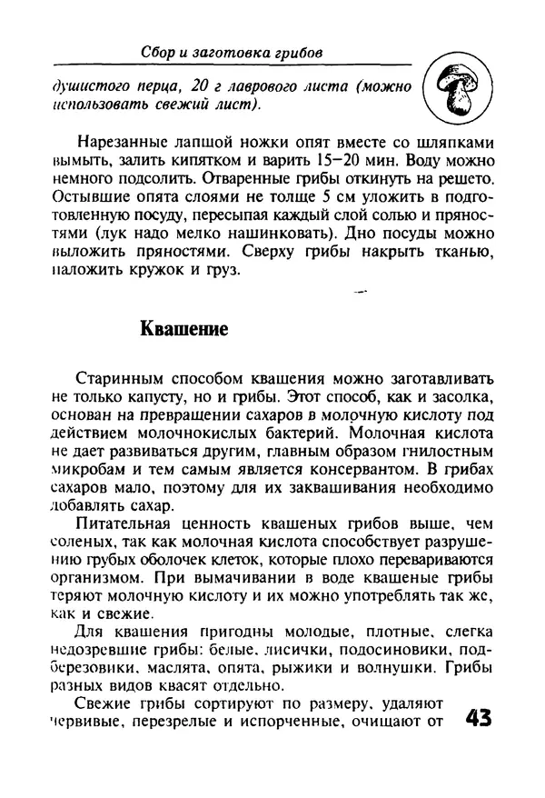 КулЛиб. И. В. Довбенко - Сбор и заготовка грибов. Страница № 43