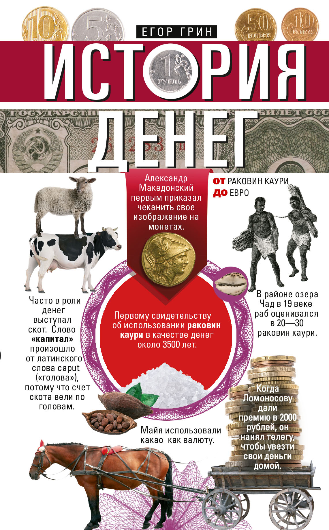 История денег. От раковин каури до евро (fb2)