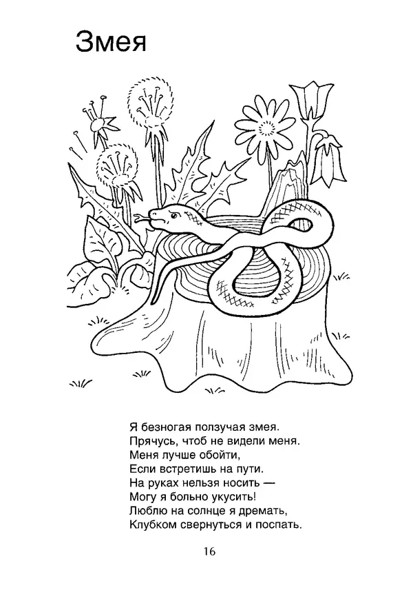 КулЛиб. В. П. Зубков - В мире животных: Книжка-раскраска. Страница № 17