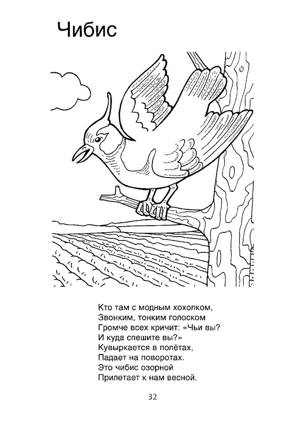 КулЛиб. В. П. Зубков - В мире животных: Книжка-раскраска. Страница № 33
