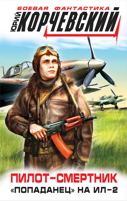 Пилот смертник-Попаданец на Ил-2 (fb2)